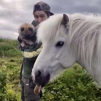 User avatar: Peter Mathisen